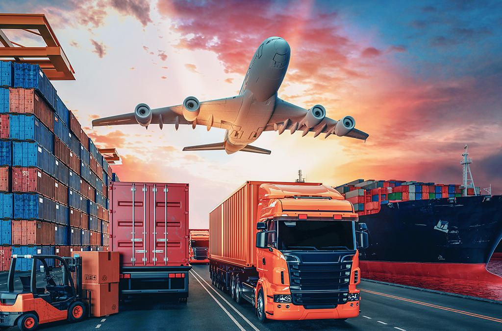 Simplify Your Customs Operations